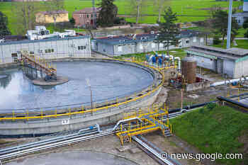 Petrolchimico, la transizione ecologica in tre mosse | estense.com ... - Estense.com