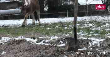 Noch keine Steine „Auf den Steinen” - Mittelhessen