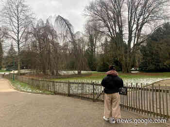 Nancy : pourquoi des barrières bloquent l'accès à une partie du parc ... - actu.fr
