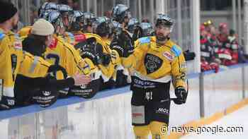 Derbysieg für Bayreuth - DEL2