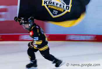 DEL 2: Krefeld Pinguine blamieren sich in Bayreuth - Westdeutsche Zeitung