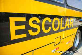 Procon Guarapuava alerta sobre os cuidados recomendados ao ... - G+ Notícias