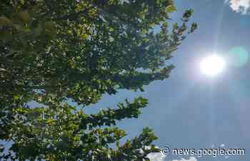 Fim de semana promete calor e leves pancadas de chuva em ... - Portal RSN