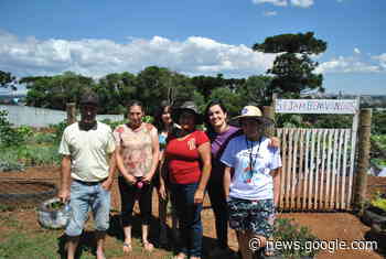 Hortas comunitárias alimentam e geram renda no Bairro Xarquinho - guarapuava.pr.gov.br