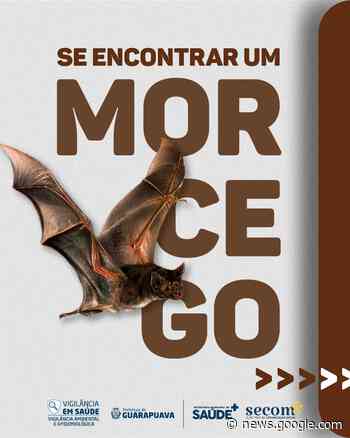 Vigilância em Saúde de Guarapuava orienta para os cuidados ao ... - guarapuava.pr.gov.br