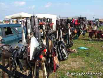 Fiera degli animali 2023, il comune investe 5mila euro per ospiti e ... - LaVoce