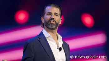 Auf Parodie hereingefallen: Hohn und Spott für Donald Trump Jr. - fr.de