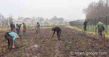 Leerlingen Schoolhuis planten samen met Bûûmplanters 1.200 ... - Het Laatste Nieuws