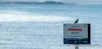 Diarrea del viajero: qué playas son seguras para bañarse y cuáles ... - El País Uruguay