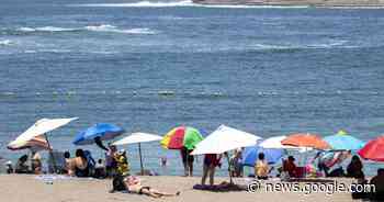 Estas son las playas en las que se prohíbe el acceso de mascotas - pauta