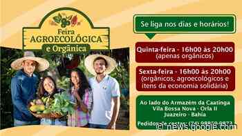 Feira Agroecológica e Orgânica de Juazeiro fortalece ... - RedeGN