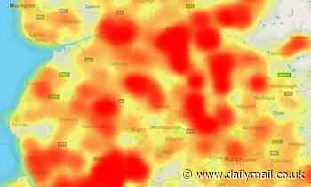 Is Japanese knotweed growing near YOU? Check our interactive map of the UK to find out
