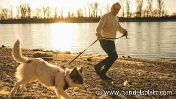 Geldanlage: Aufpassen beim Verprassen: So gelingt der richtige Entnahmeplan fürs Börsenportfolio