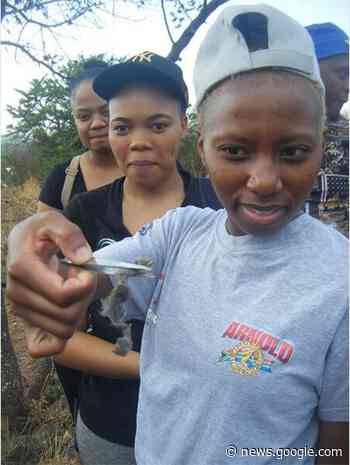 Beat the heat at Melville Koppies - Kempton Express