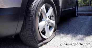 Gomme tagliate, una strada ostaggio di un pazzo - RovigoInDiretta.it