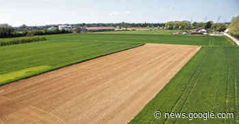 Hintere Mult Weinheim: Unterschriftensammlung geht in den Endspurt - Rhein-Neckar Zeitung
