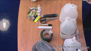How to winter sow seeds