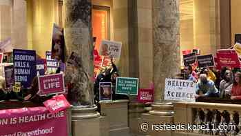 Minnesota Senate debates more protection for abortion rights
