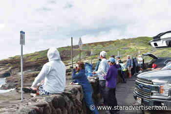 Humpback whales plentiful during first count of the season