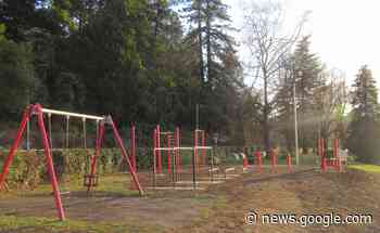 Luino, con i nuovi attrezzi calistenici anche al lungolago si può fare ... - Luino Notizie