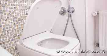 Cleaning guru shares clever trick to unclog toilets using common 65p product