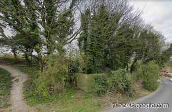 Brighton and Hove council look to settle Ovingdean tree row - The Argus