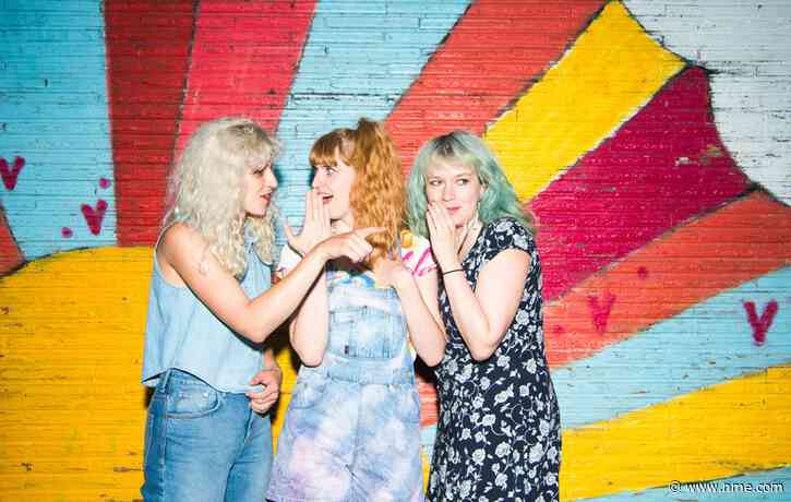Indie supergroup dropped from gig after criticising Amazon boss via Le Tigre cover