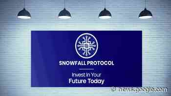 Why is Monero falling? Investors dump Dash, and Snowfall Protocol ... - The Coin Republic