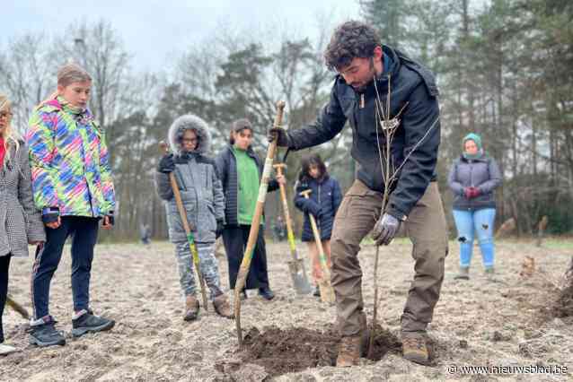 Stad Beringen en BOS+ organiseren vandaag bosplantactie “Er is plaats voor 1000 bomen”