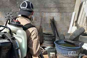 Prefeitura de Itaperuna reforça o combate ao Aedes Aegypti com ... - Folha de Italva