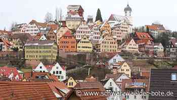 Freude in Altensteig: Finanzlage im Jahr   2022 deutlich besser als erwartet