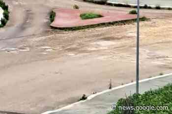 Senza asfalto e con erba alta, monta la protesta nel quartiere ... - MolfettaViva