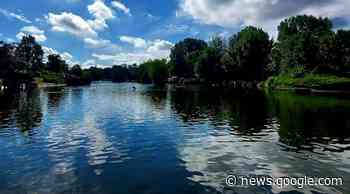 Visitors of Alexandra Park issued warning after bird deaths - The Oldham Times