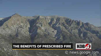 Prescribed burn set for Sandias next week, Forest Service officials say - KOB 4