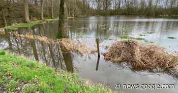 Hemelwaterplan moet Beernem behoeden van grote wateroverlast - Het Laatste Nieuws