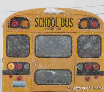 Winter storm cancels school buses in Sarnia-Lambton - BlackburnNews.com