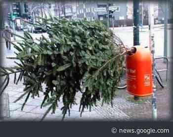 Jetzt ist Zeit zum Abschmücken!: Weihnachtsbaumabfuhr vom 9. bis ... - www.lokalkompass.de