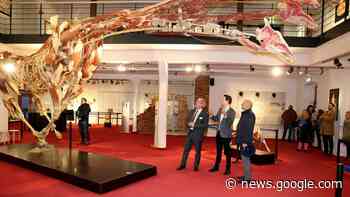 Plastinarium Guben: Start mit Rekord – das sind die neuen Pläne ... - Lausitzer Rundschau