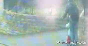 Video shows moment woman transports four year old on e-scooter ... - Grimsby Live