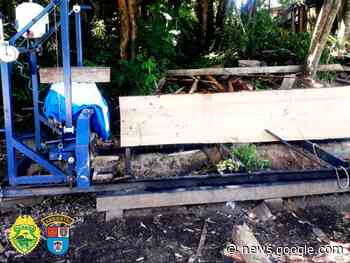 Polícia Ambiental faz apreensão de madeira serrada em Irati - Portal Clique