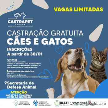 Irati terá castração gratuita de cães e gatos em março - Folha de Irati