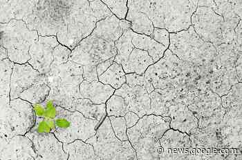 Il 15 febbraio Ispra presenta RaStEM, strumento per interventi in ... - ANCI