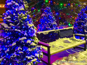 Gifts of Light enhance local health care & brighten Steinbach's ... - SteinbachOnline.com