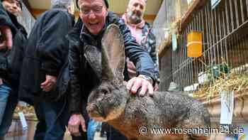 Nutztiere mit Kuschelfaktor - Kaninchen-Schau in Kassel