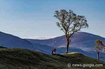 Cateran Trail race to host Scottish Ultra Trail Champs - scottishathletics.org.uk