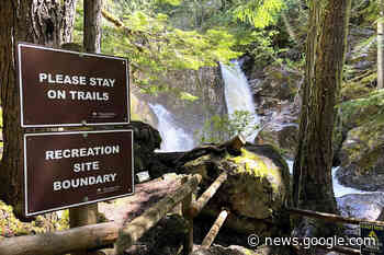 Trails group asks for Sicamous' support with continued maintenance ... - Salmon Arm Observer