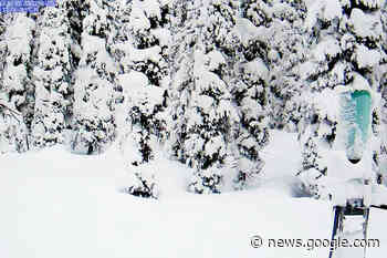 January sees Kootenay mountain snowpack levels drop to below ... - Trail Times