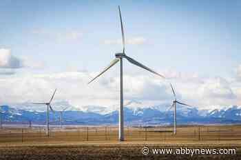 Alberta landowners fear repeat of orphan well crisis as renewable energy booms