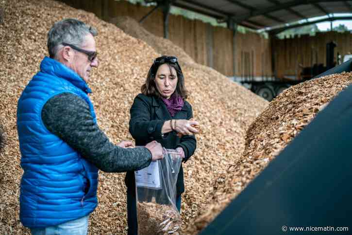 De la plaquette forestière à la chaufferie collective, les promesses du bois énergie en circuit court