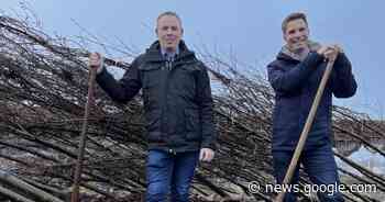 Impulse für Celle als „Stadt im Grünen“ - Cellesche Zeitung